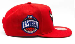 CHICAGO BULLS
