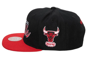 CHICAGO BULLS