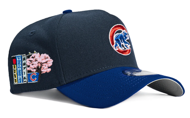 CHICAGO CUBS