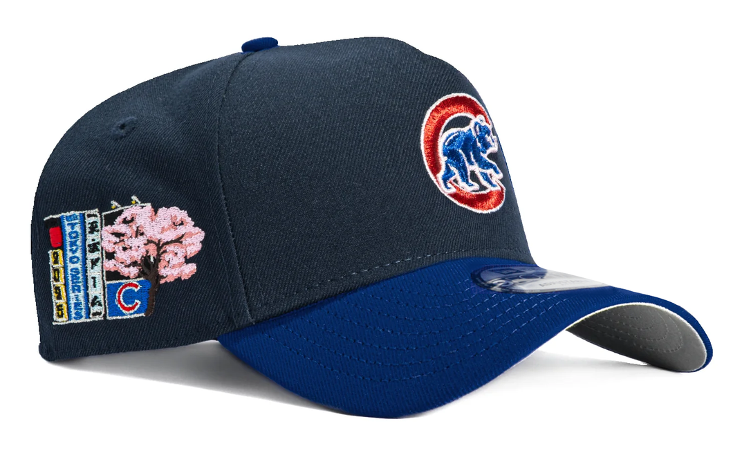 CHICAGO CUBS