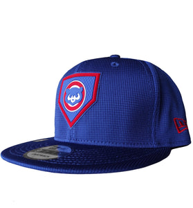 CHICAGO CUBS
