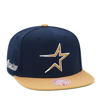 HOUSTON ASTROS