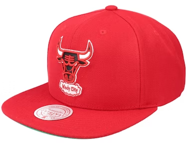 CHICAGO BULLS
