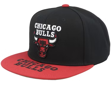 CHICAGO BULLS