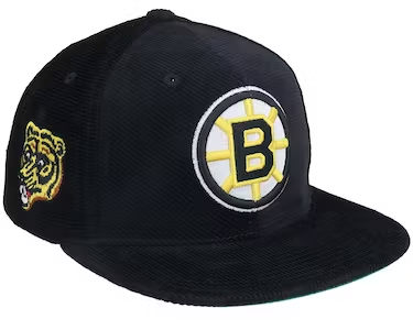 BOSTON BRUINS