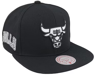CHICAGO BULLS