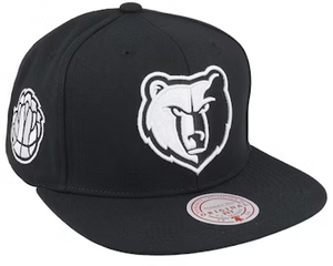 MEMPHIS GRIZZLIES