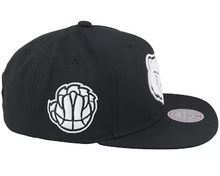 MEMPHIS GRIZZLIES
