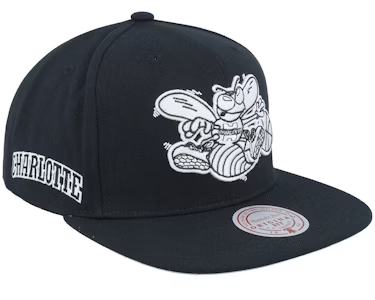 CHARLOTTE HORNETS