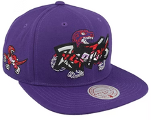 TORONTO RAPTORS