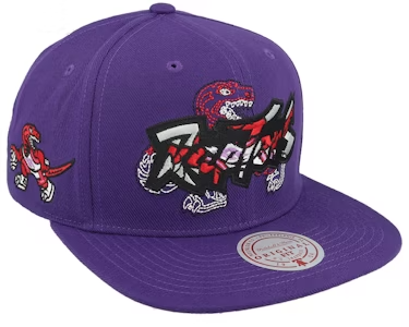 TORONTO RAPTORS