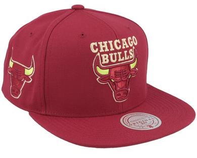 CHICAGO BULLS