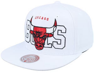 CHICAGO BULLS