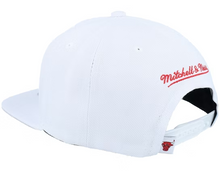 CHICAGO BULLS