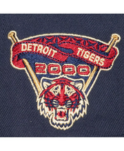 DETROIT TIGERS