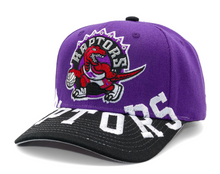 TORONTO RAPTORS