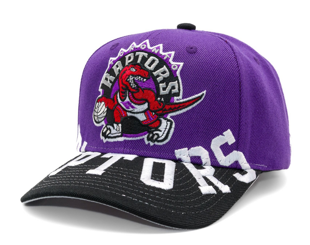 TORONTO RAPTORS