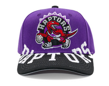 TORONTO RAPTORS