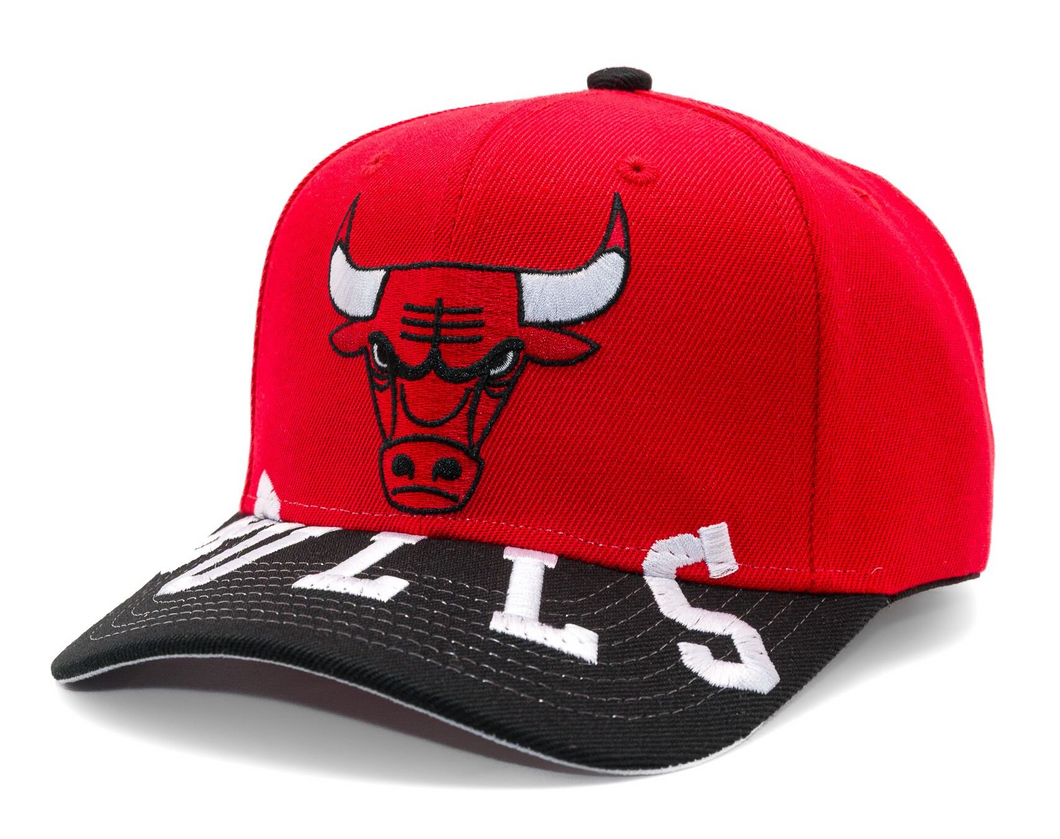 CHICAGO BULLS