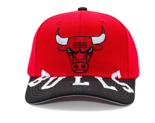 CHICAGO BULLS