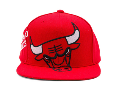 CHICAGO BULLS