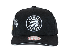 TORONTO RAPTORS