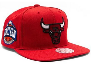 CHICAGO BULLS