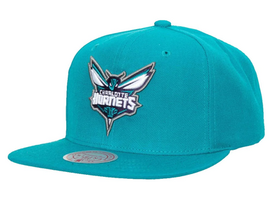 CHARLOTTE HORNETS