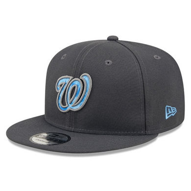 WASHINGTON NATIONALS