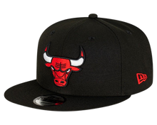 CHICAGO BULLS