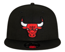 CHICAGO BULLS