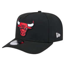 CHICAGO BULLS