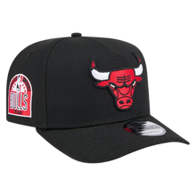 CHICAGO BULLS