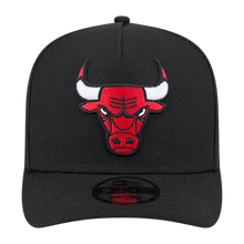 CHICAGO BULLS