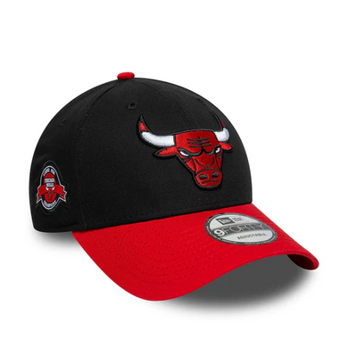 CHICAGO BULLS