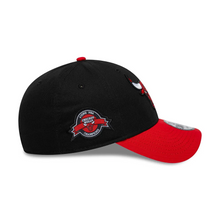 CHICAGO BULLS