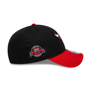 CHICAGO BULLS