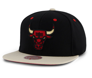 CHICAGO BULLS