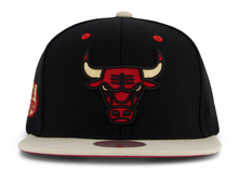 CHICAGO BULLS