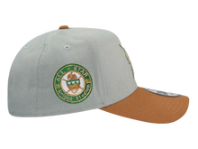 DETROIT TIGERS