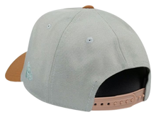 DETROIT TIGERS