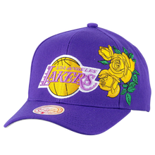 LOS ANGELES LAKERS