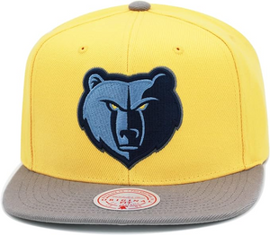 MEMPHIS GRIZZLIES