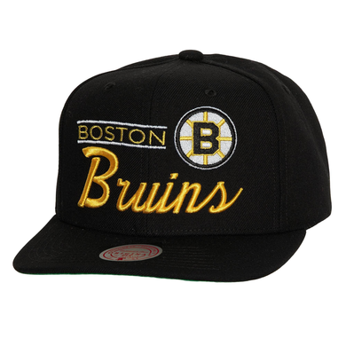 BOSTON BRUINS