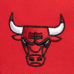 CHICAGO BULLS