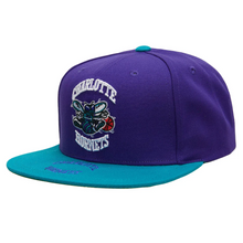 CHARLOTTE HORNETS