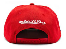 CHICAGO BULLS