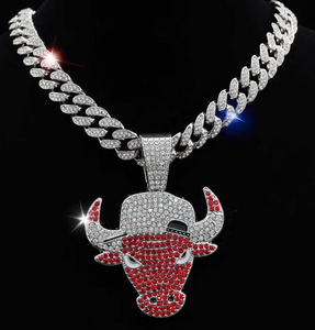CHICAGO BULLS
