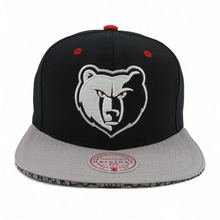 MEMPHIS GRIZZLIES