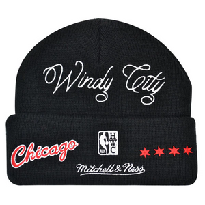 CHICAGO BULLS
